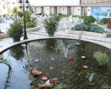 هتل سی نور مشهد هتل سی نور مشهد