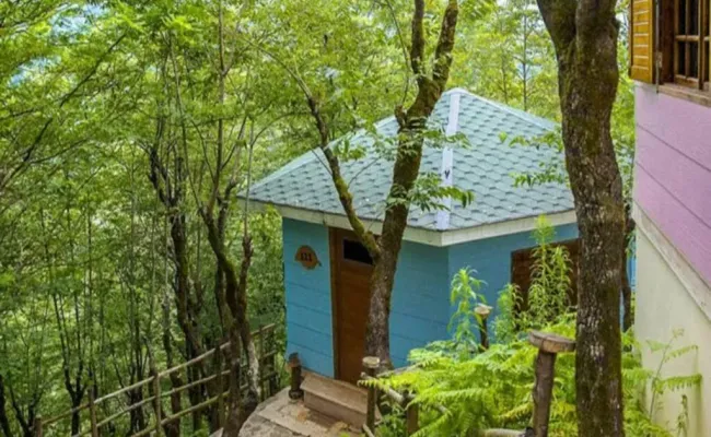 هتل بام سبز رامسر هتل بام سبز رامسر