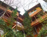 مجتمع اقامتی مزرعه قوها لاهیجان مجتمع اقامتی مزرعه قوها لاهیجان