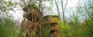 مجتمع اقامتی مزرعه قوها لاهیجان مجتمع اقامتی مزرعه قوها لاهیجان