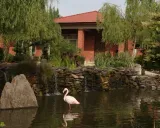 مجتمع اقامتی مزرعه قوها لاهیجان مجتمع اقامتی مزرعه قوها لاهیجان