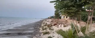 هتل آپارتمان دلفین نوشهر هتل آپارتمان دلفین نوشهر