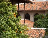 هتل بوتیک هفت پیکر گرگان هتل بوتیک هفت پیکر گرگان