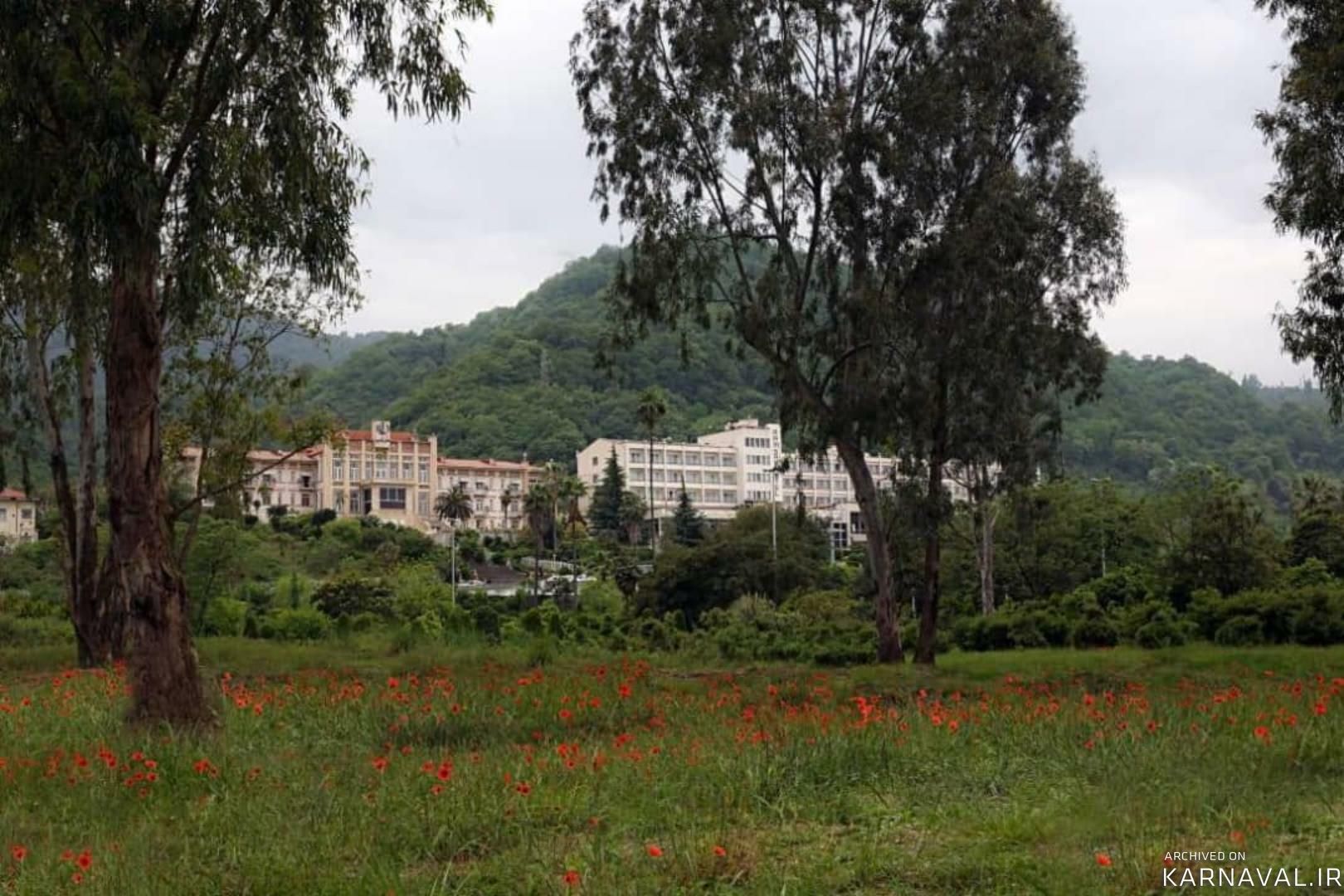 https://media.karnaval.ir/uploads/2024/08/45604.jpeg