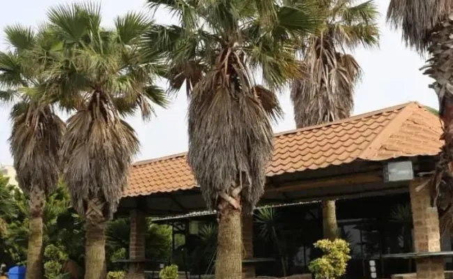 متل پرستو محمود آباد متل پرستو محمود آباد