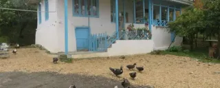 اقامتگاه بوم گردی بام های سفالی تالش اقامتگاه بوم گردی بام های سفالی تالش