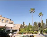 هتل پارک سعدی شیراز هتل پارک سعدی شیراز