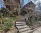 مجتمع اقامتی مزرعه قوها لاهیجان مجتمع اقامتی مزرعه قوها لاهیجان