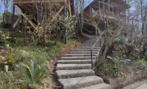 مجتمع اقامتی مزرعه قوها لاهیجان مجتمع اقامتی مزرعه قوها لاهیجان