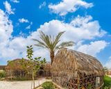 هتل فاروس کنگان هتل فاروس کنگان