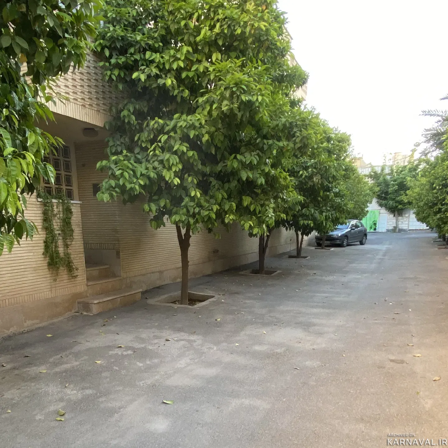 آپارتمان زرگری شیراز