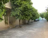 آپارتمان زرگری شیراز آپارتمان زرگری شیراز