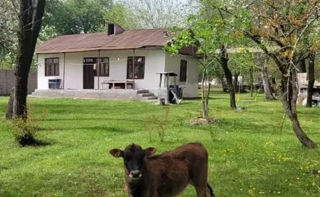 ویلا روستایی طبیعت سنگر ویلا روستایی طبیعت سنگر