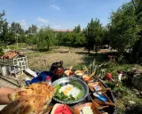 اقامتگاه بومگردی مزرعه آفتابگردان (دبل) با صبحانه گرگان اقامتگاه بومگردی مزرعه آفتابگردان (دبل) با صبحانه گرگان