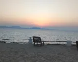 کلبه ساحلی فین دلفین(۵) قشم کلبه ساحلی فین دلفین(۵) قشم