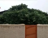 ویلا مرمل کلاردشت ویلا مرمل کلاردشت
