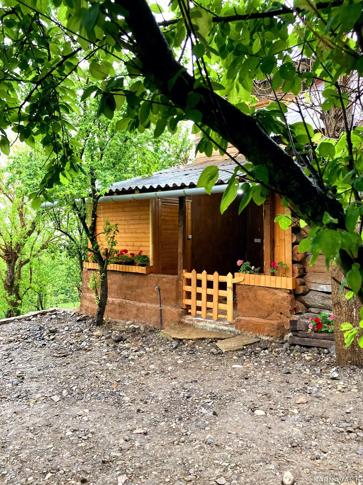 کلبه جنگلی ساره بانو شیرگاه