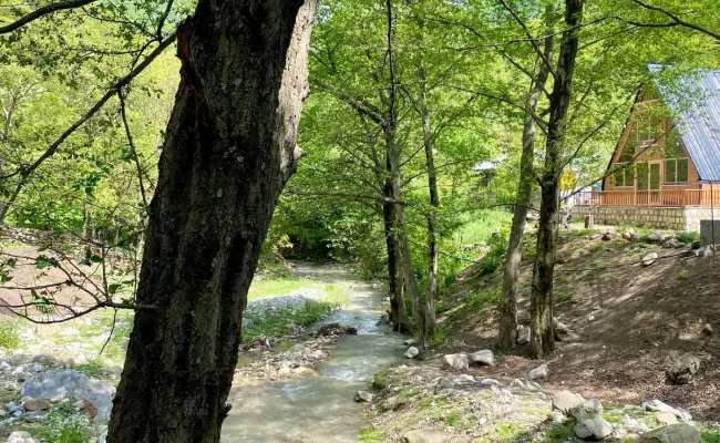 کلبه سوئیسی اَبرا سوادکوه کلبه سوئیسی اَبرا سوادکوه
