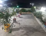 سوییت نقلی علی گرگان سوییت نقلی علی گرگان