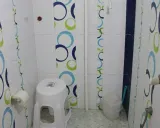 سوییت مبله مجلل(واحد ۱۱) کاشان سوییت مبله مجلل(واحد ۱۱) کاشان