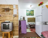 کلبه جنگلی سنتی فردین پیرهرات اسالم کلبه جنگلی سنتی فردین پیرهرات اسالم