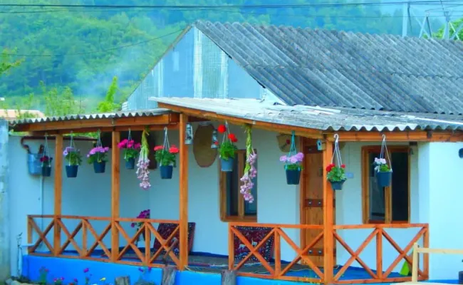 اقامتگاه بومگردی تختعلی (کلبه سنتی) لیسار اقامتگاه بومگردی تختعلی (کلبه سنتی) لیسار