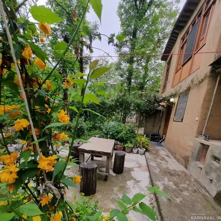 سوییت ویلایی جنگلی ساعی ماسوله سوییت ویلایی جنگلی ساعی ماسوله