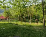 کلبه چوبی آرامش ماسال کلبه چوبی آرامش ماسال