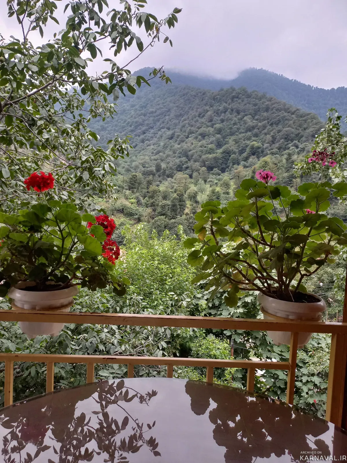 کلبه جنگلی دنج ماسال