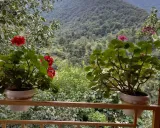 کلبه جنگلی دنج ماسال کلبه جنگلی دنج ماسال