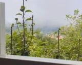 خانه ویلایی ناوان تالش خانه ویلایی ناوان تالش