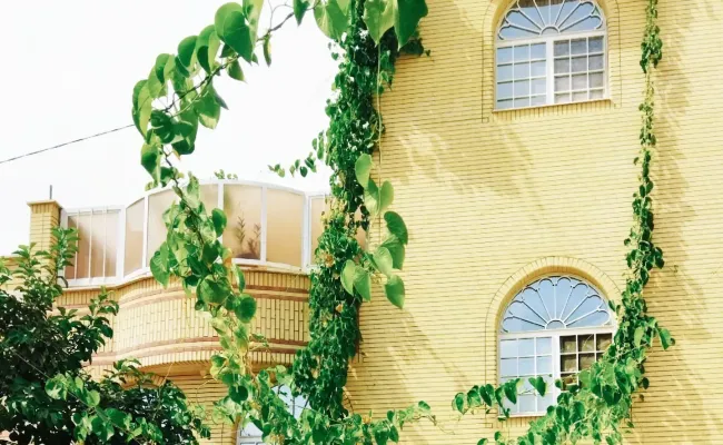 آپارتمان ویلایی کاشو ( سهراب 1) کاشان آپارتمان ویلایی کاشو ( سهراب 1) کاشان