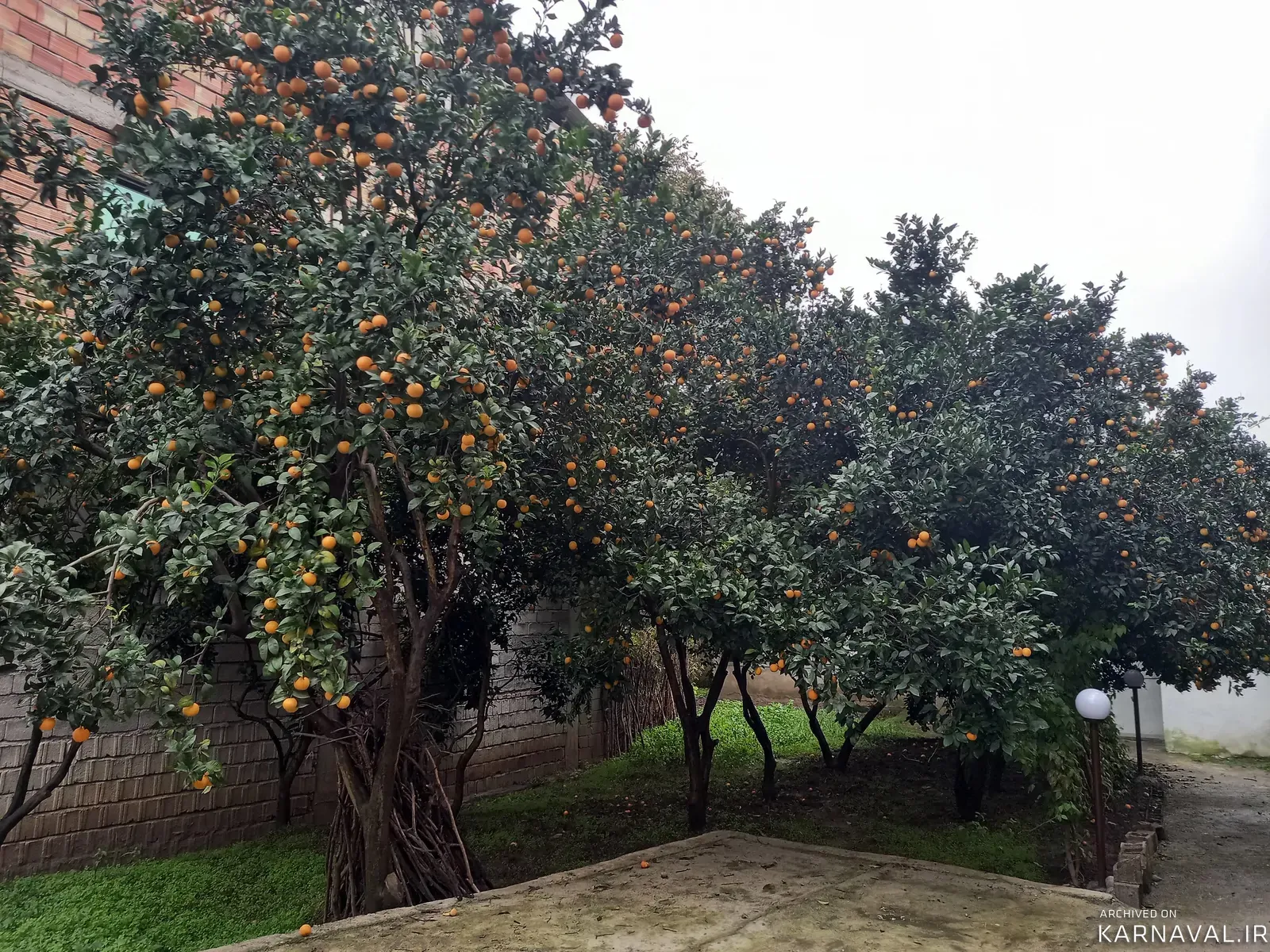 خانه باغ ناصریان شیرگاه