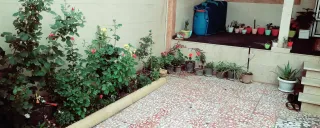 ویلا مبله ارزان و به صرفه علی آباد کتول ویلا مبله ارزان و به صرفه علی آباد کتول