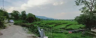 ویلا رادین ماسال ویلا رادین ماسال