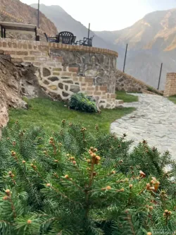 کلبه صخره آسارا کلبه صخره آسارا