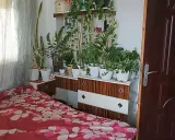 آپارتمان مبله امیر رشت آپارتمان مبله امیر رشت
