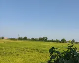 خانه مبله فرید رضوانشهر خانه مبله فرید رضوانشهر