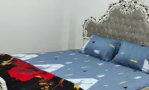 ویلا شکوری رامسر ویلا شکوری رامسر
