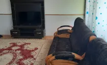 آپارتمان رها (3) محمودآباد آپارتمان رها (3) محمودآباد