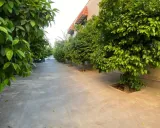 آپارتمان زرگری شیراز آپارتمان زرگری شیراز