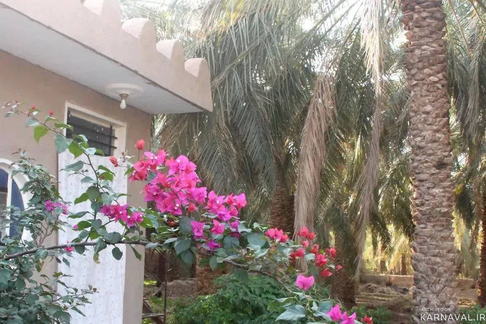 اقامتگاه بومگردی نخلستان مدرن بم اقامتگاه بومگردی نخلستان مدرن بم