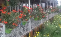 ویلا مبله شیری اسالم ویلا مبله شیری اسالم