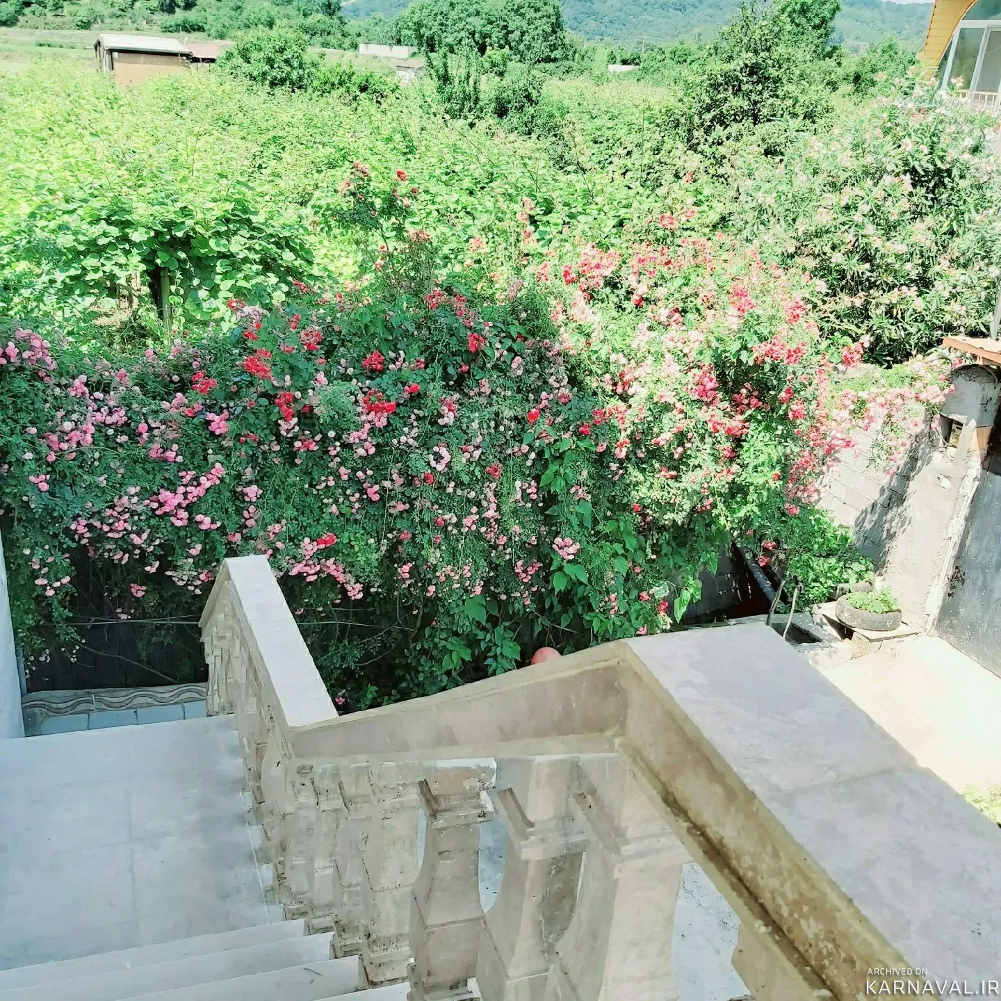 ویلا شریفی با ویوی فوق العاده شیرگاه
