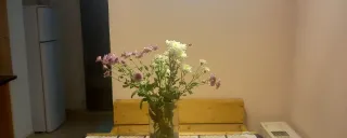 ویلا ساحلی دلارام نوشهر ویلا ساحلی دلارام نوشهر