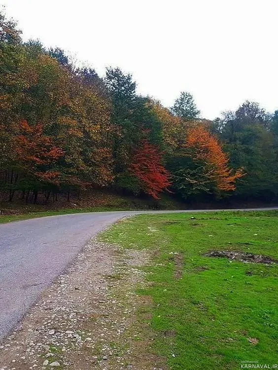 کلبه جنگلی سد زمزم(واحد2) شیرگاه کلبه جنگلی سد زمزم(واحد2) شیرگاه
