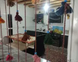 اقامتگاه بومگردی بلند آرام شاهرود اقامتگاه بومگردی بلند آرام شاهرود