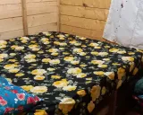 کلبه حامد رژه ماسال کلبه حامد رژه ماسال