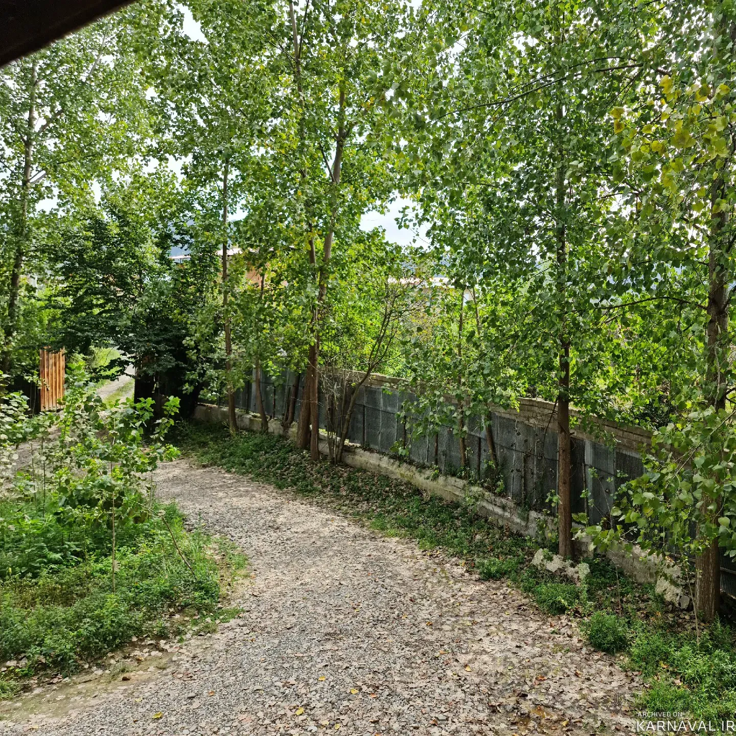 کلبه  چوبی احمدی شیرگاه