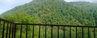 کلبه چوبی صفری (واحد 2) ماسال کلبه چوبی صفری (واحد 2) ماسال